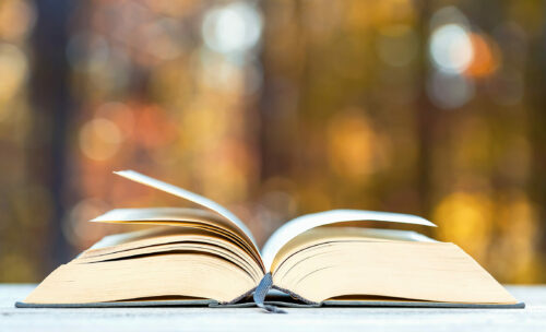 Book in front of forest